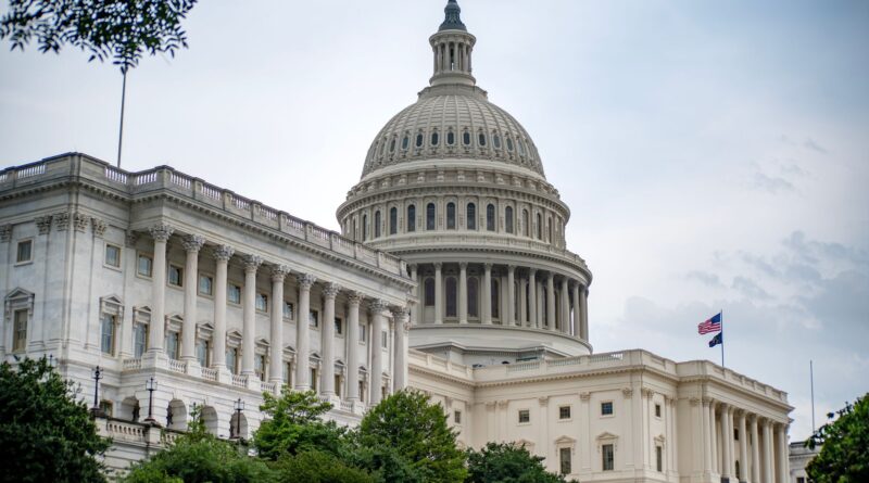 Demócratas exigen audiencias en el Senado por los millonarios ingresos de Trump en criptomonedas